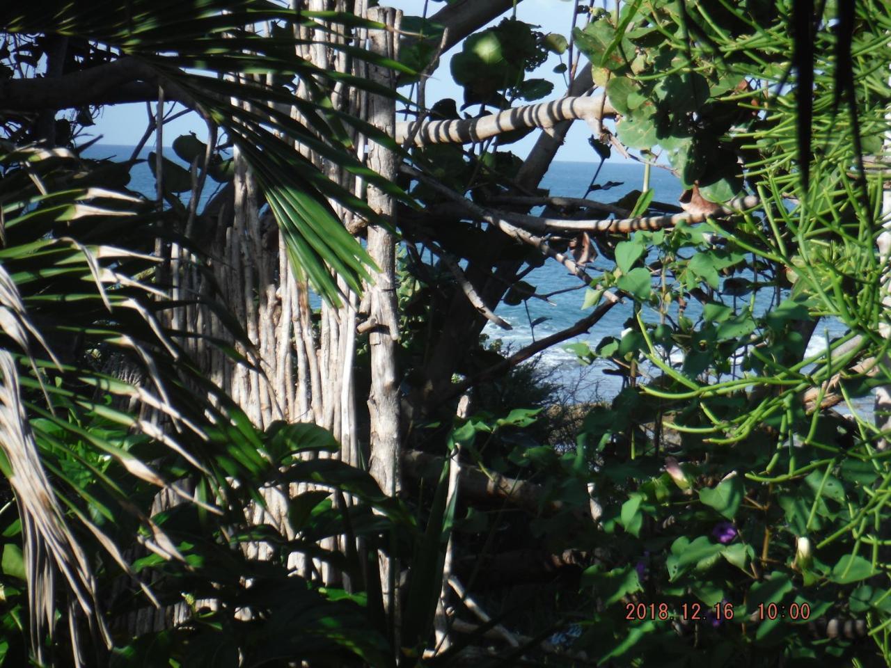 Kudehya Guesthouse Treasure Beach Eksteriør bilde